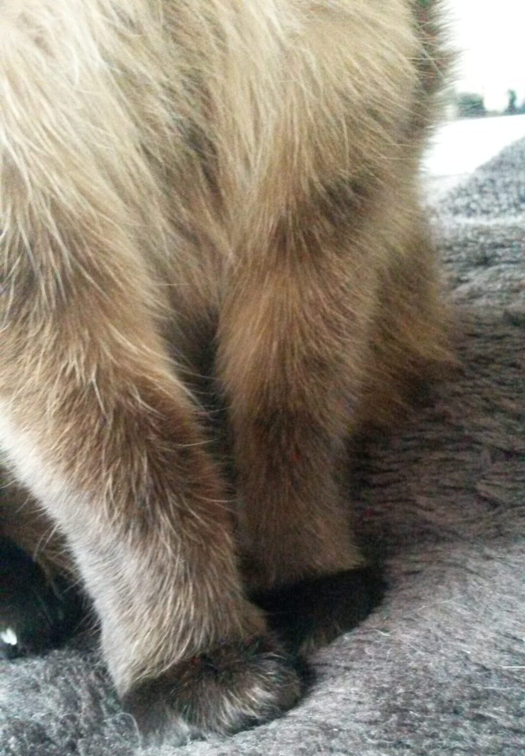Über mich Mein PET Vital
